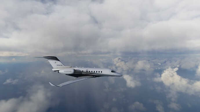 Microsoft Flight Simulator 7_11_2023 12_44_26 PM