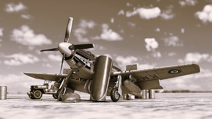 p51ww21.1