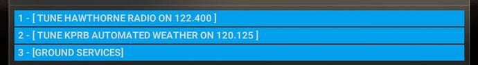 Microsoft Flight Simulator 11_24_2024 8_43_31 AM