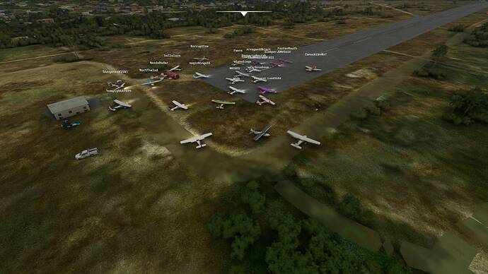 Microsoft Flight Simulator 8_2_2021 12_55_12 PM