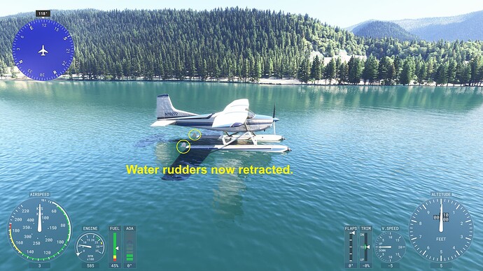 C185 water rudders reversed (4)