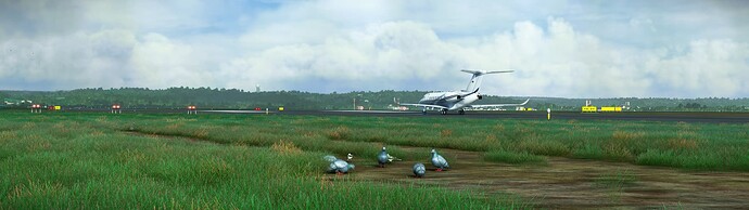 Microsoft Flight Simulator Screenshot 2023.02.18 - 15.32.48.20