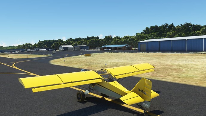 Microsoft Flight Simulator Screenshot 2022.04.27 - 18.31.32.50