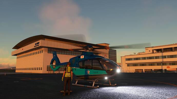 2025-10-28 12_58_08-Microsoft Flight Simulator - 1.39.9.0