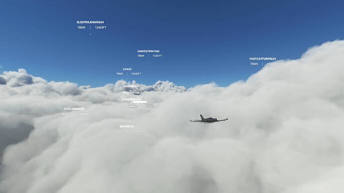 Microsoft Flight Simulator 8_8_2021 11_44_16 AM