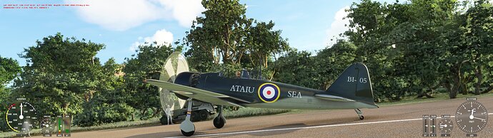 Microsoft Flight Simulator 9_30_2021 10_44_55 AM_jpg