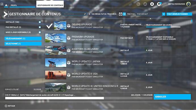 Microsoft Flight Simulator (4)