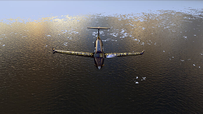 Microsoft Flight Simulator Screenshot 2026.05.20 - 00.44.48.03