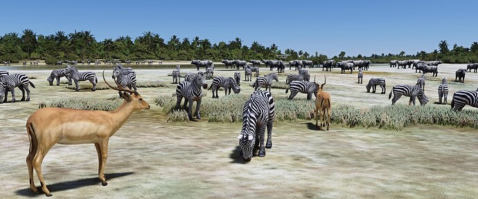 The Okavango Delta Animals_11