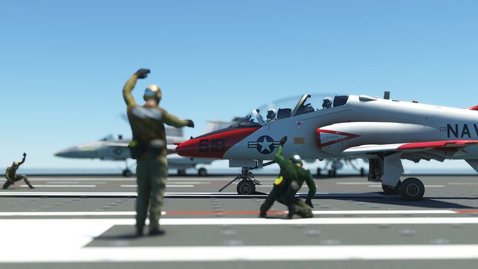 Microsoft Flight Simulator (261)