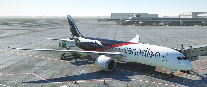 Microsoft Flight Simulator - 1.33.8.0 2023-07-07 5_54_21 PM