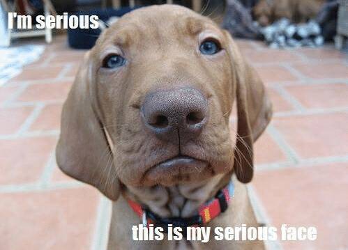 tm-serious-this-is-my-serious-face-im-serious-51575921