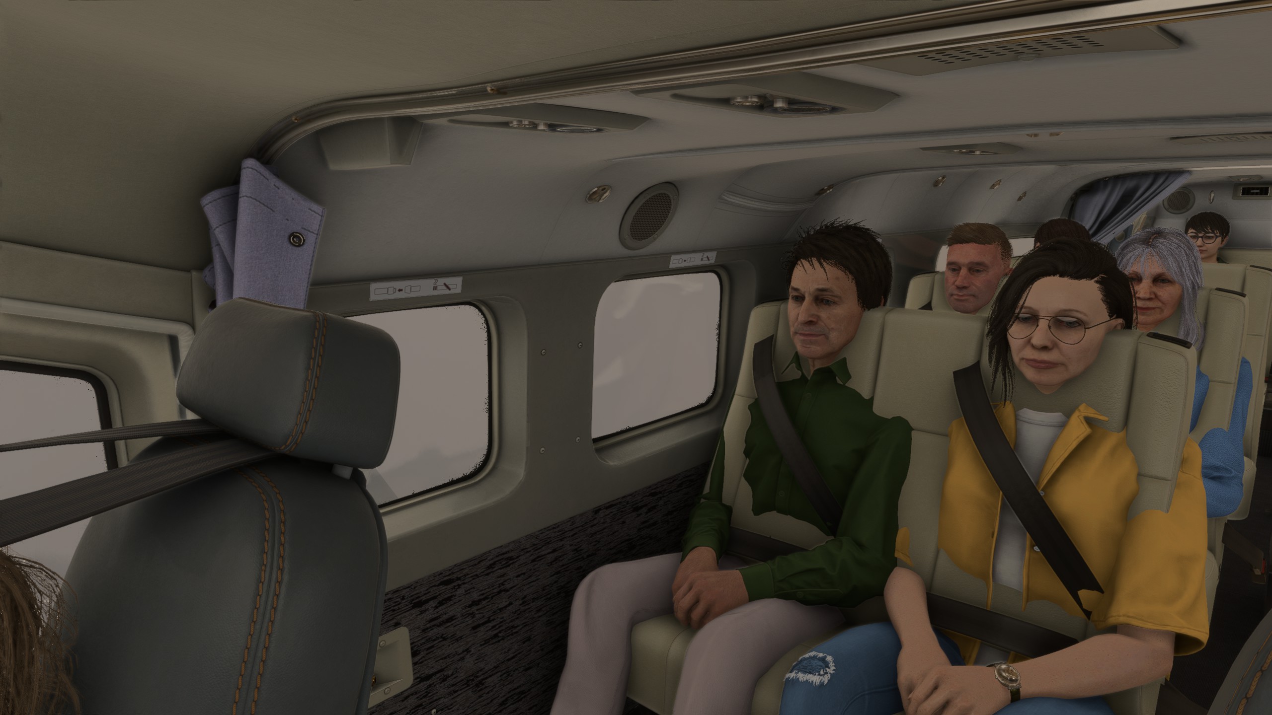 Co-pilot and passengers wrong sit placement - Resolved - Microsoft ...