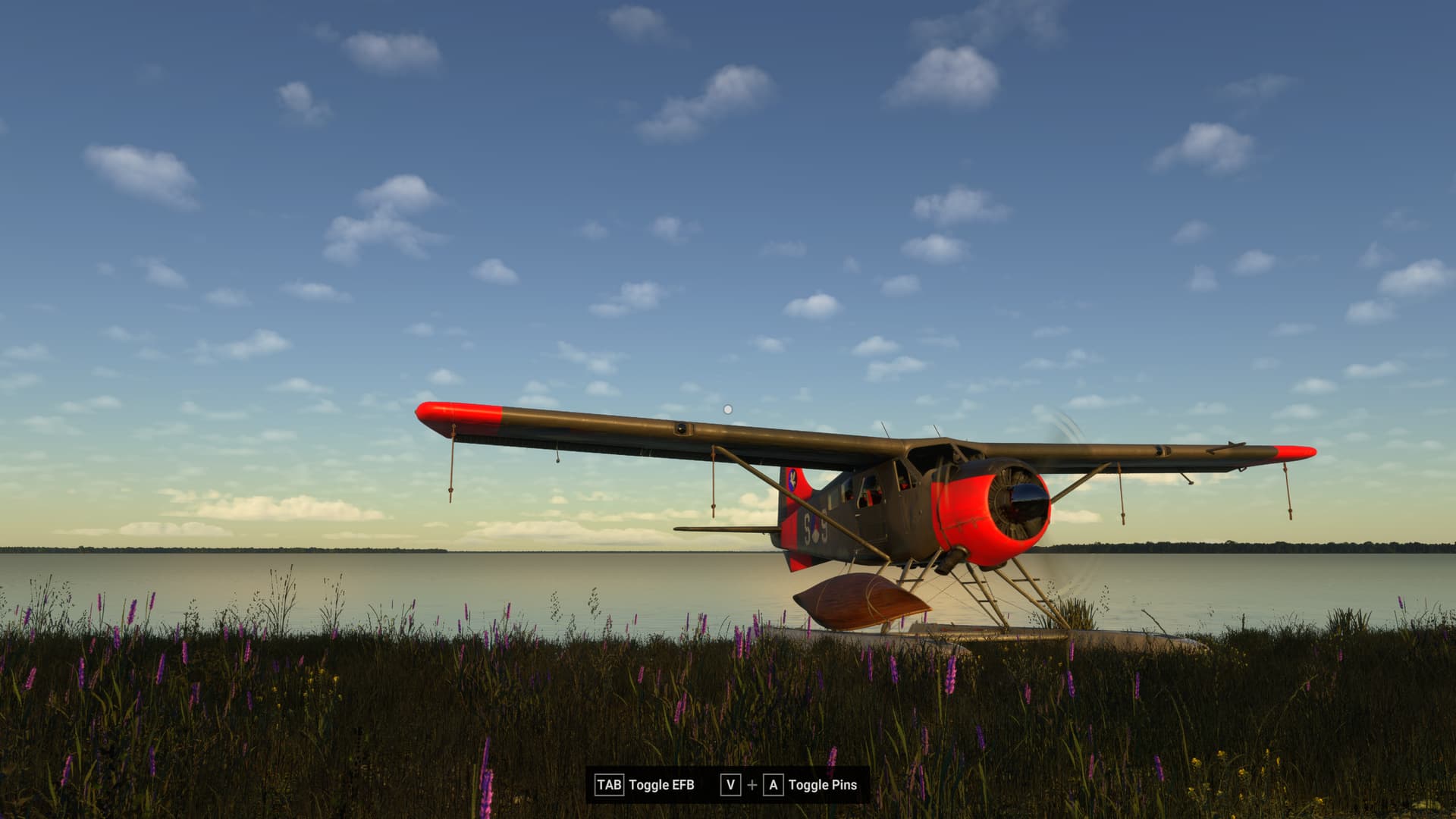 Ksua Fauna & Flora of MSFS 2024 - World Photographer & Screenshots ...