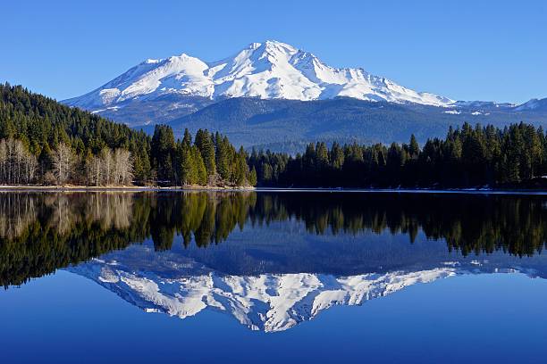 istockphoto-450597613-612x612