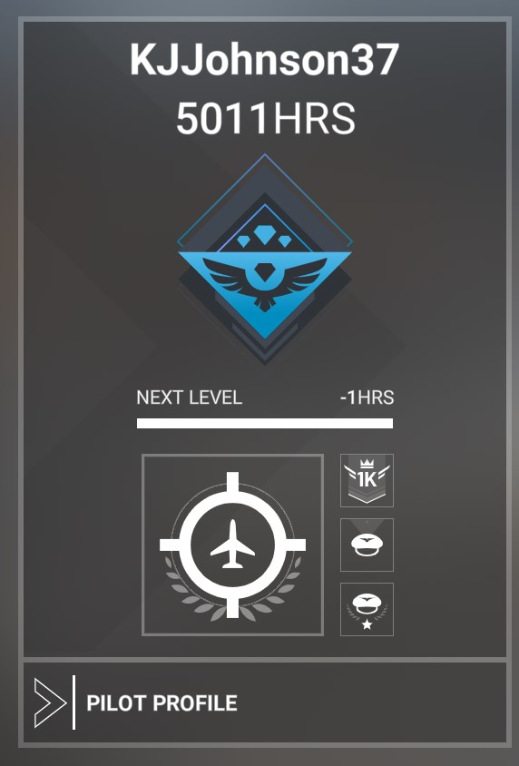 Pilot Profile 10022022
