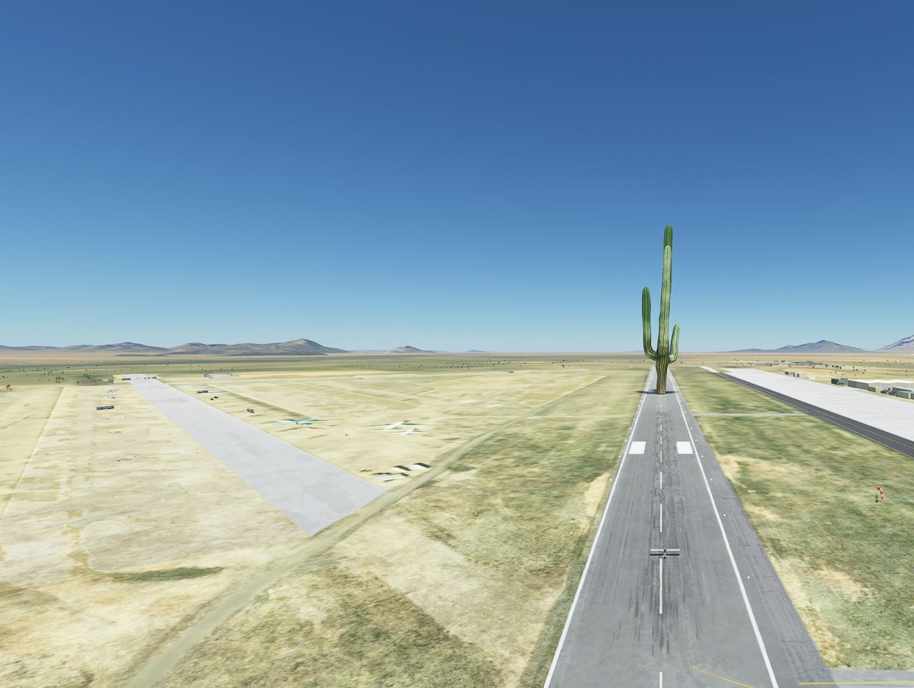 I found Saguaro Cactus in Sierra Vista - General Discussion - Microsoft  Flight Simulator Forums