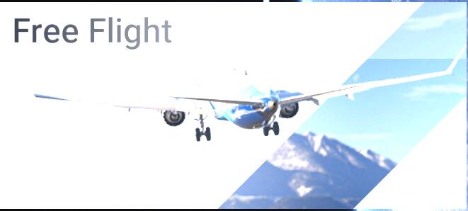 Free Flight