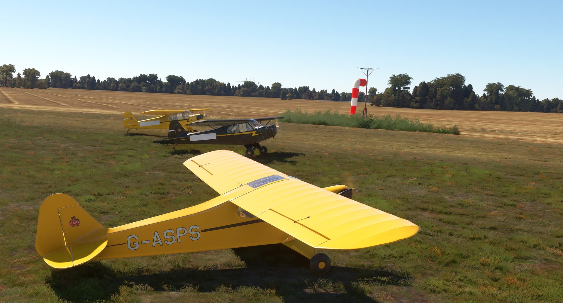 CAS J3 Cub - Page 11 - Aircraft - Microsoft Flight Simulator Forums